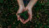 hands_news