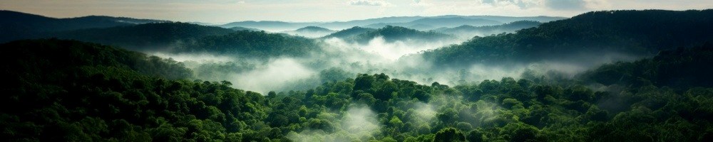 Environmental Responsibility